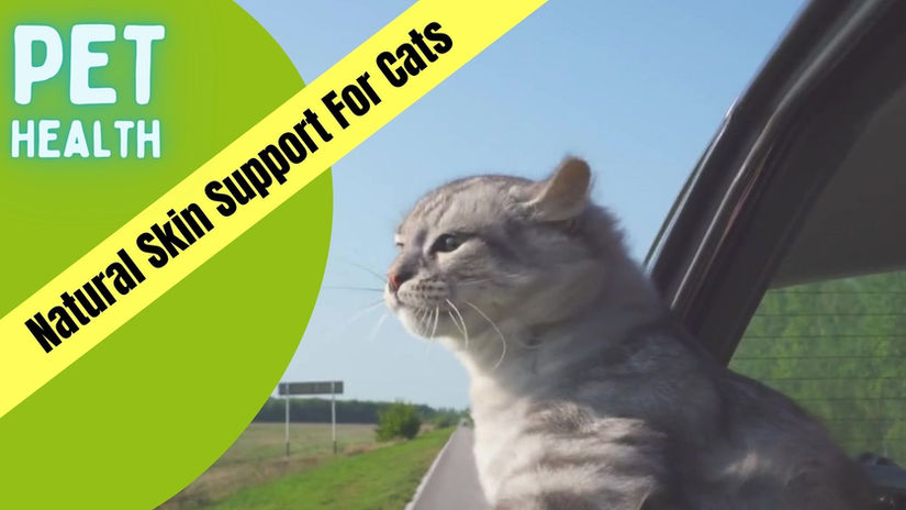 NATURAL SKIN SUPPORT FOR CATS